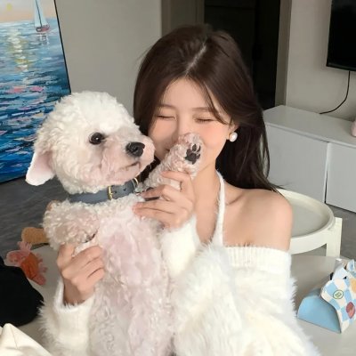 超狗任务