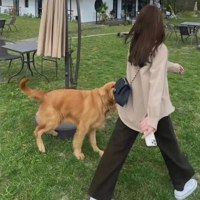 李科长巧难炊事班