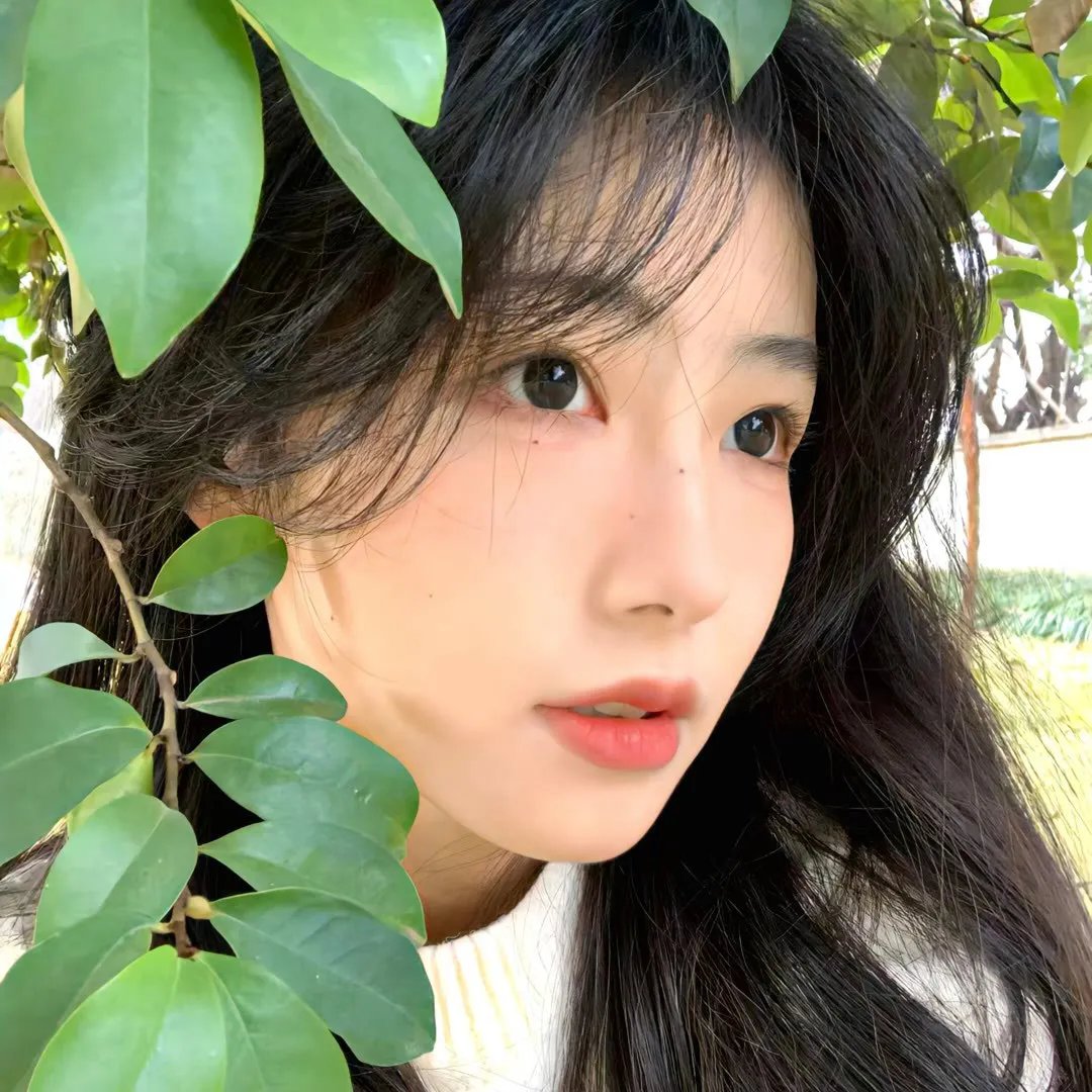 美女特工队